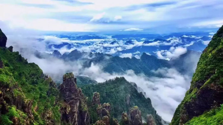 1636011407602.png 503.png