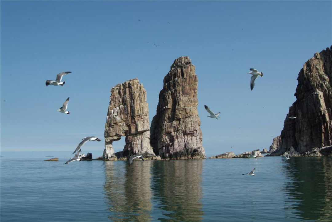 1647587735752.png 3.png