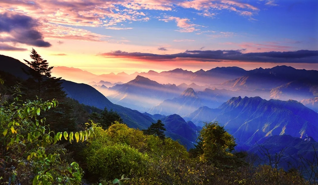 1663293878885.png 222.png